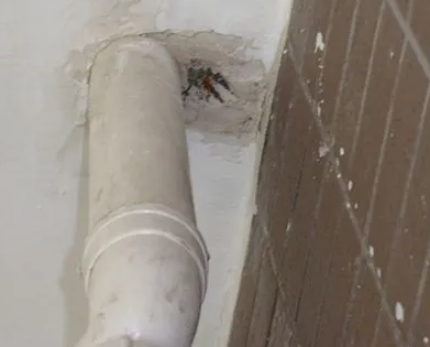 千山漏水检测哪家好